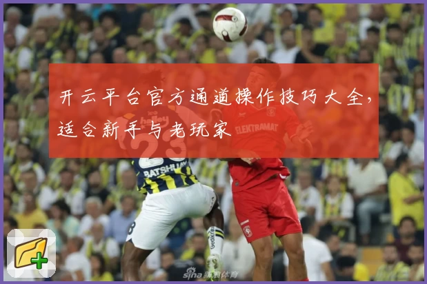 开云平台官方通道操作技巧大全，适合新手与老玩家