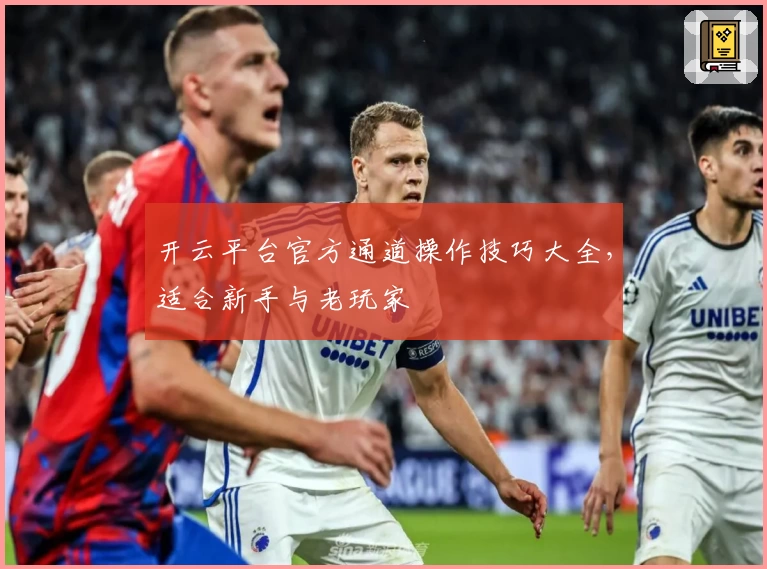 开云平台官方通道操作技巧大全，适合新手与老玩家